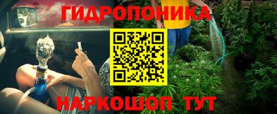 винт Донецк