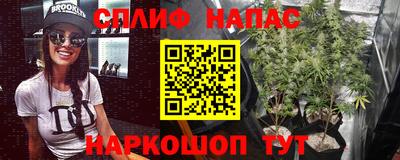 эйфоретик Донской