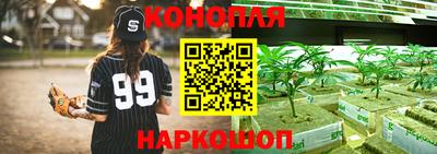 стаф Ижевск