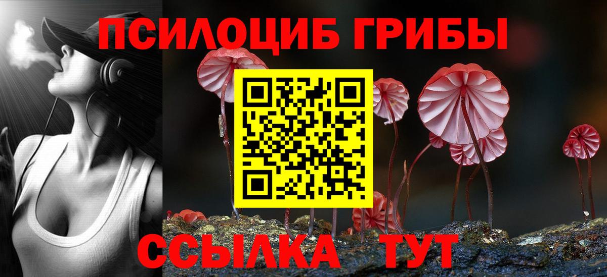 Мценск  Псилоцибиновые грибы Magic Shrooms  Псилоцибиновые грибы Psilocybine cubensis  Вход с VPN 